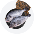 fishery category icon