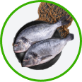 fishery category icon