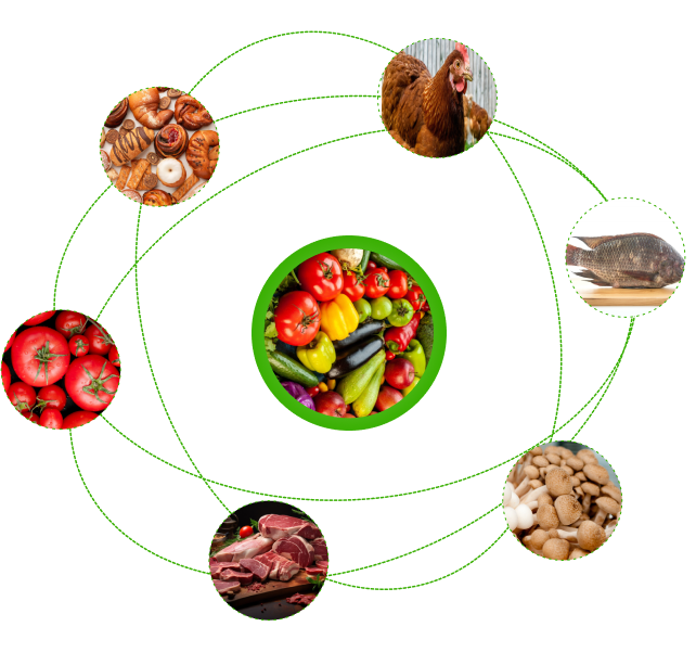 food-web