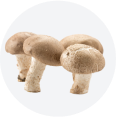 mushrooms category icon