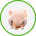 poultry category icon