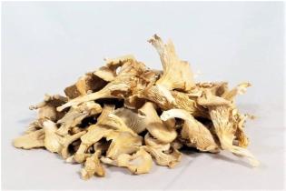 Dried Oyester Mushroom