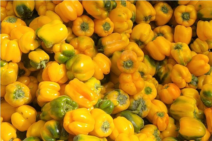 Yellow Bell Peppers