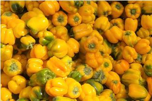 Yellow Bell Peppers