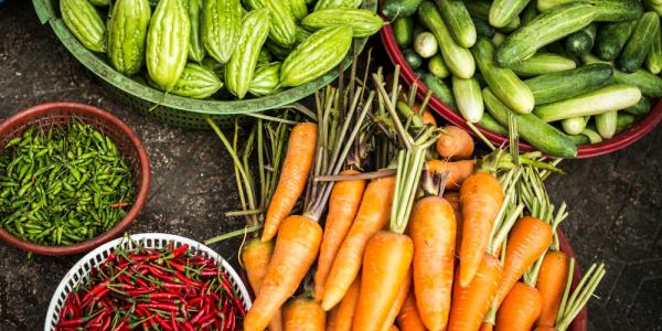 Bowls of harvested vegetables