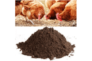 Poultry Manure