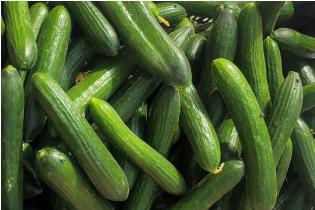 Seedless English Cucumber