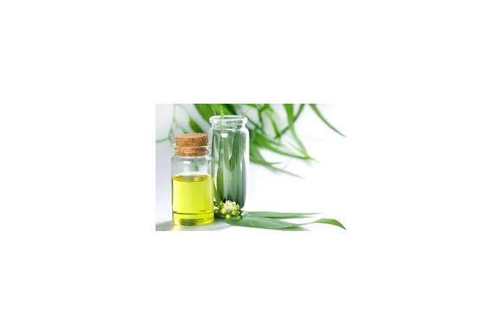 Eucalyptus Oil